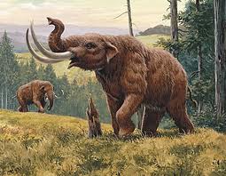 Mastodonti